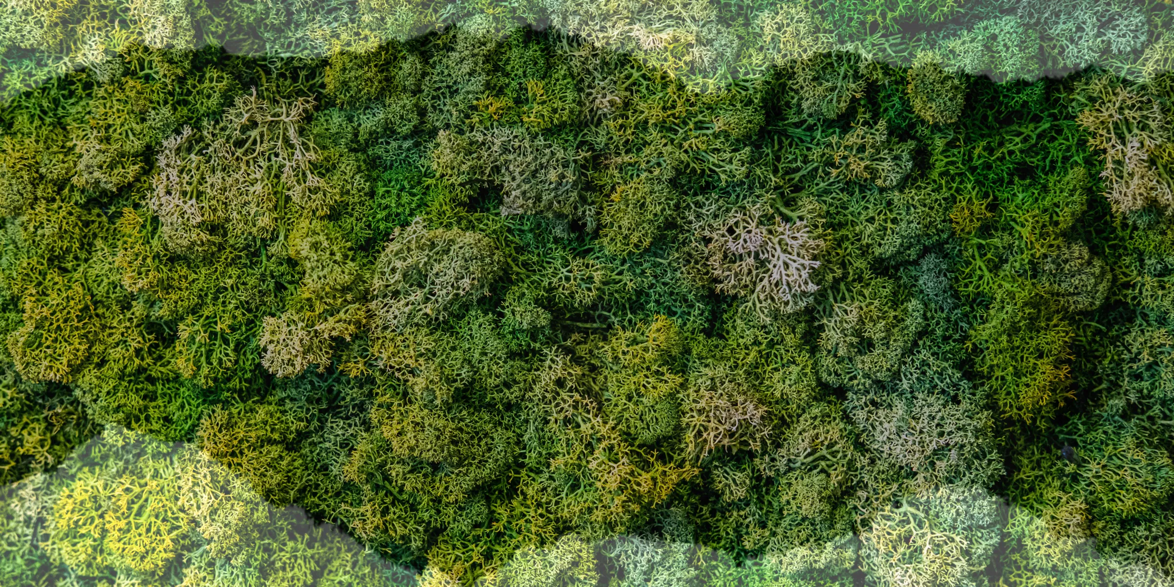 Simply Health Rx wellness spa interior