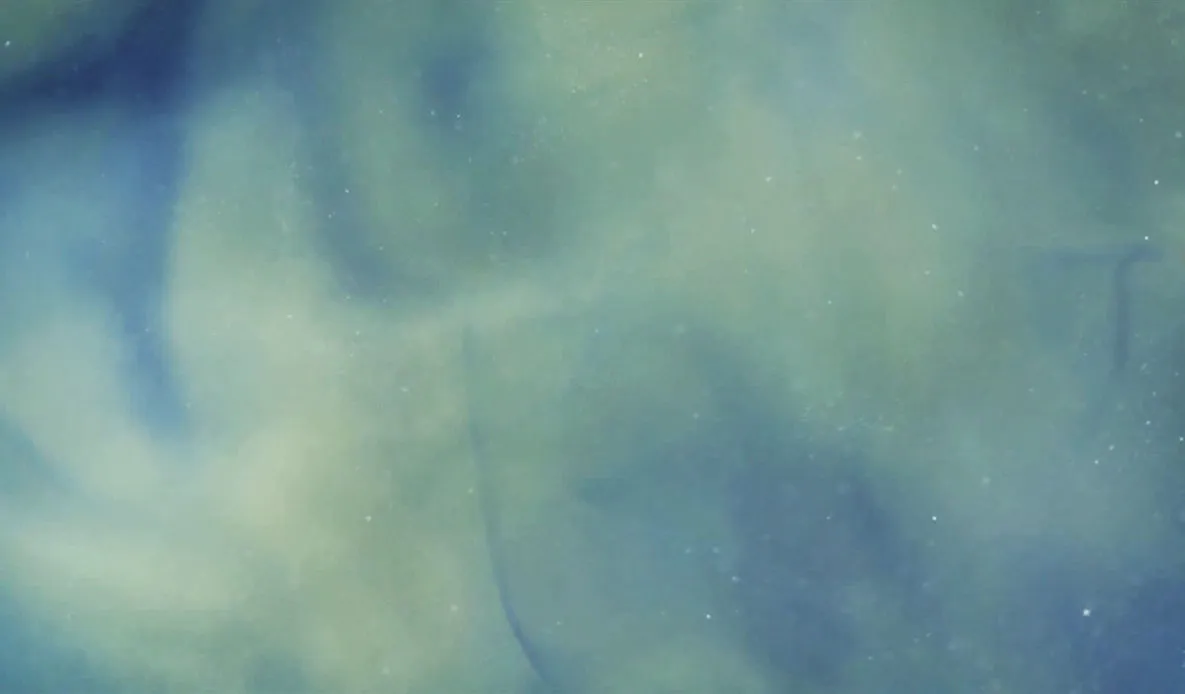 Roots of Space Light Touch Bodywork